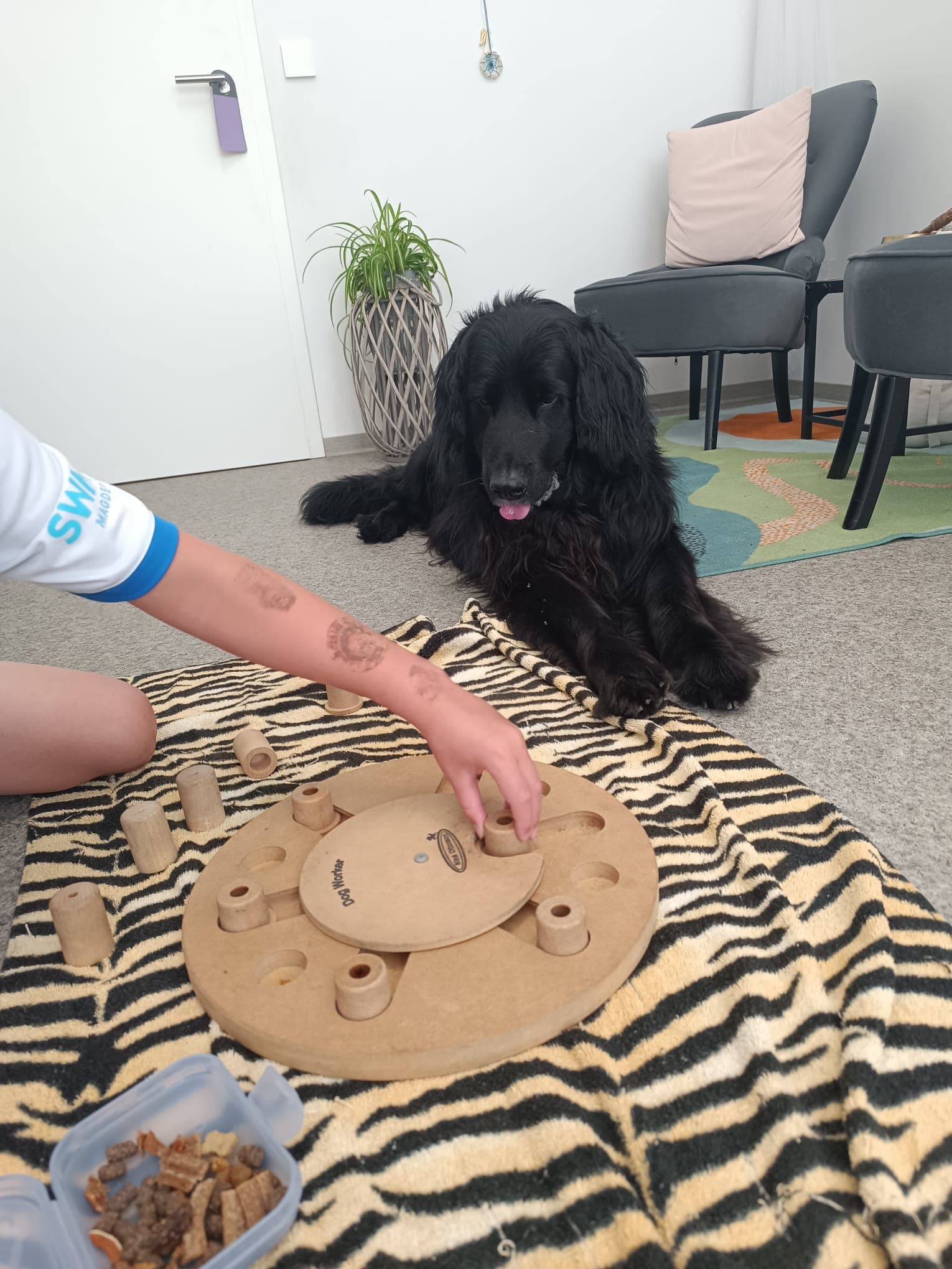 Tiergestützte Therapie mit Camiro